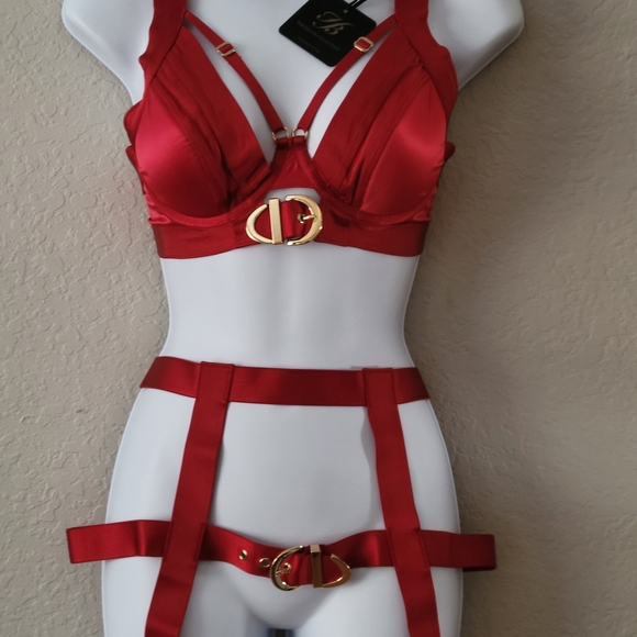 Honey Birdette Red Bra with Gold Accents - Picture 2 of 10